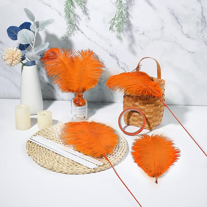 Holmgren Orange Ostrich Feathers Bulk - Image 5