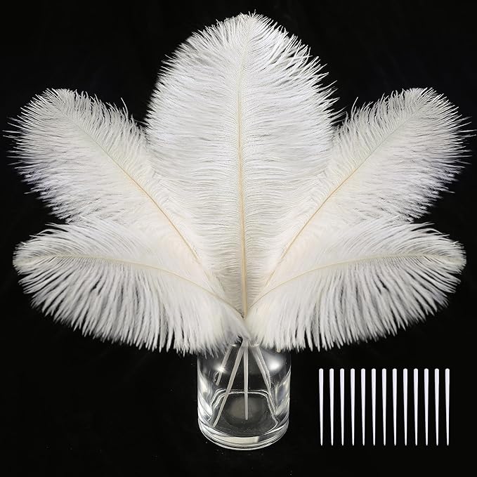 SOGUGOM White Craft Ostrich Feathers by SOGUGOM