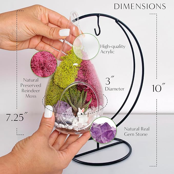 7" DIY Teardrop Terrarium Kit - Image 2