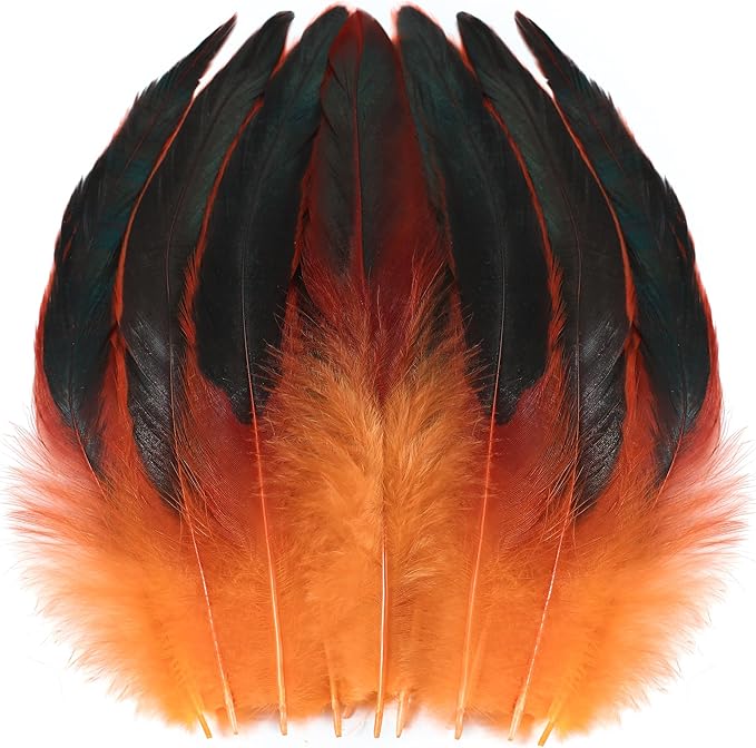 SOGUGOM Orange Rooster Tail Feathers by SOGUGOM