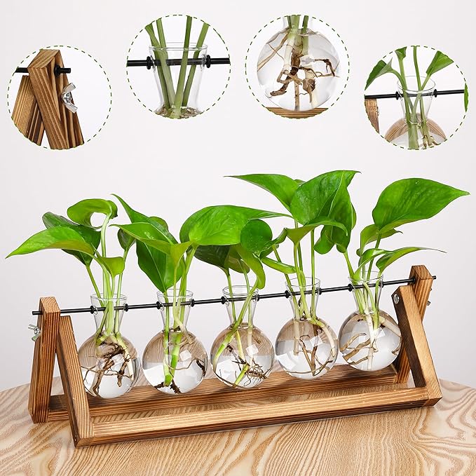 YIBOT Propagation Stations, Plant Terrarium - Image 3
