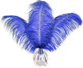Happy Feather 16-18 inch Royal Blue Ostrich Feathers Craft by SupplyHighQualityFeathers