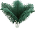 Ballinger Green Long Ostrich Feathers by Ballinger