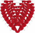 50pcs 2-1/2" Red Satin Ribbon Bows by Micomon