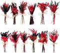 10/12/24/36 Pack Mini Dried Flowers by Unknown