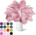 NEWONG 30pcs Peony Pink Ostrich Feathers Natural Bulk 9-12inch Vase Craft by NEWONG
