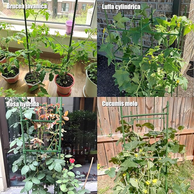 Orgrimmar Tomato Cages Garden Plant Support Stakes Outdoor Vegetable Trellis - Image 6