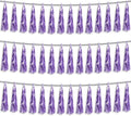 3P Light Purple Foil Fringe Metallic Tassel Streamers Banner Tassel Garland by HYSILLA