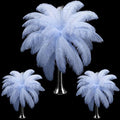 Maitys 90 Pcs Large Natural Ostrich Feathers Bulk 14-16 Inch 12-14 Inch 10-12 by Maitys