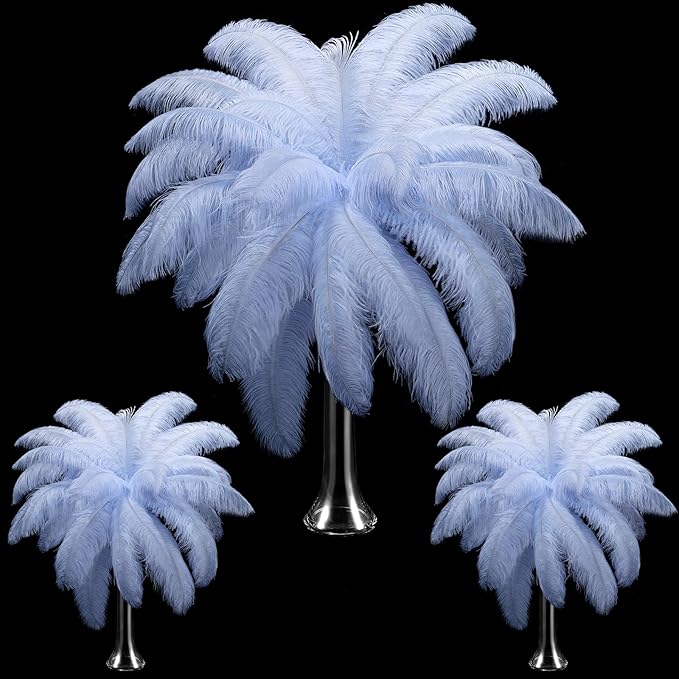 Maitys 90 Pcs Large Natural Ostrich Feathers Bulk 14-16 Inch 12-14 Inch 10-12 by Maitys