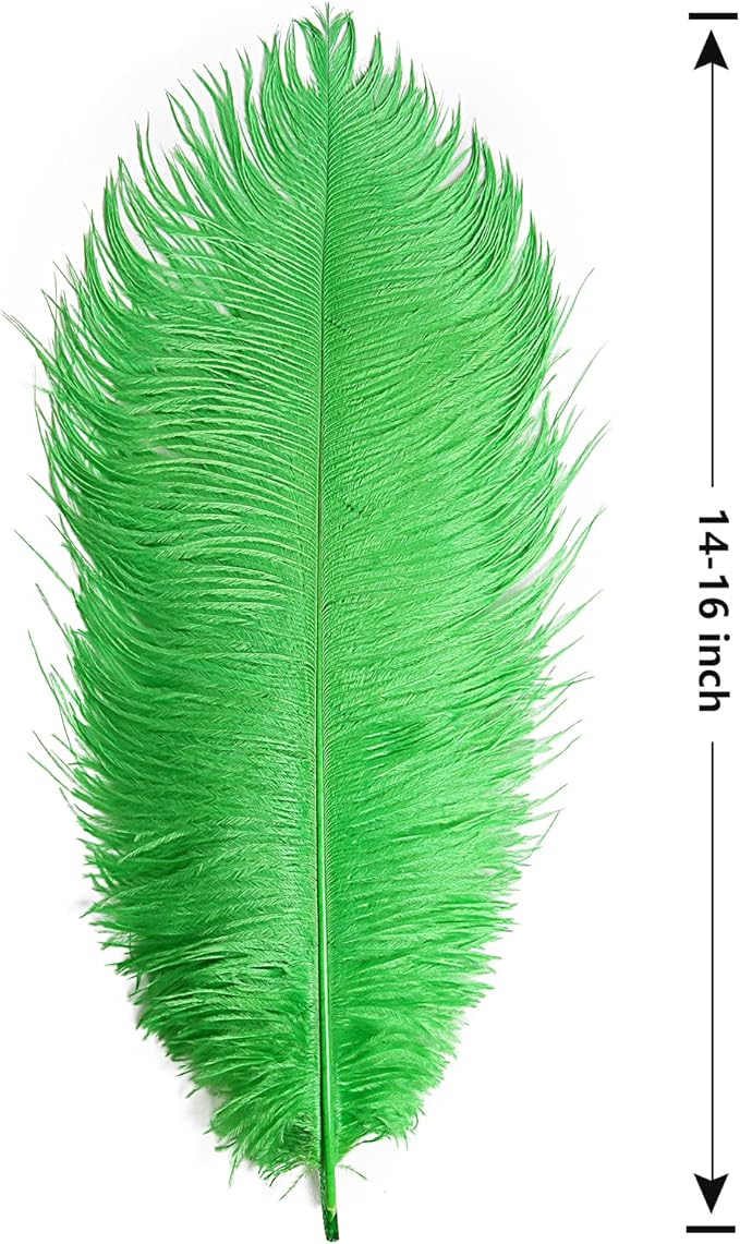 THARAHT Green Ostrich Feathers 12pcs Large Natural Bulk 14-16Inch 35cm-40cm - Image 2