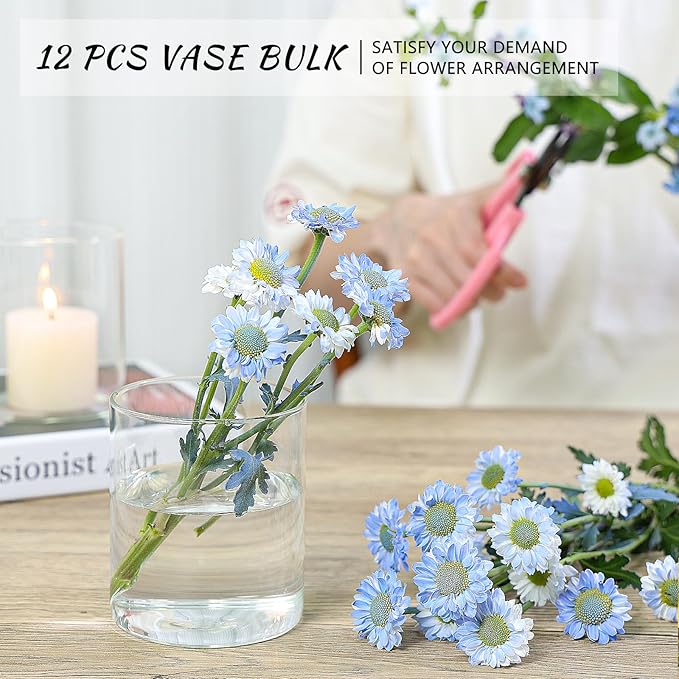 12Pcs Glass Cylinder Vase for Centerpieces 5 Inch Clear Flower Vases Bulk - Image 6