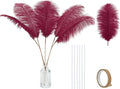Holmgren Burgundy Ostrich Feathers Bulk by Holmgren