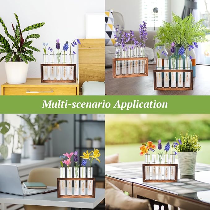 2pcs Desktop Glass Plant Propagation Station - Image 4