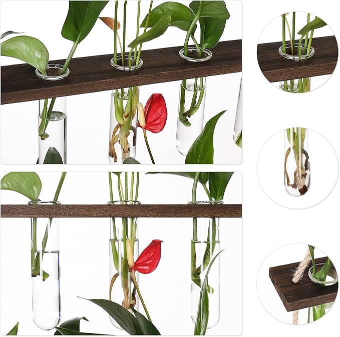 YIBOT Propagation Stations, 3 Tiered Wall Hanging Terrarium - Image 3