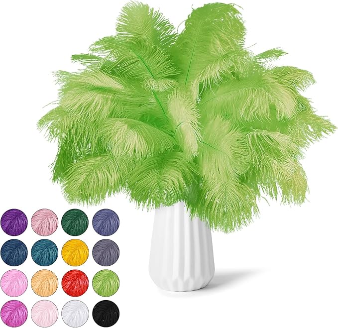 NEWONG 30pcs Fruit Green Ostrich Feathers Natural Bulk 9-12inch Vase Craft by NEWONG
