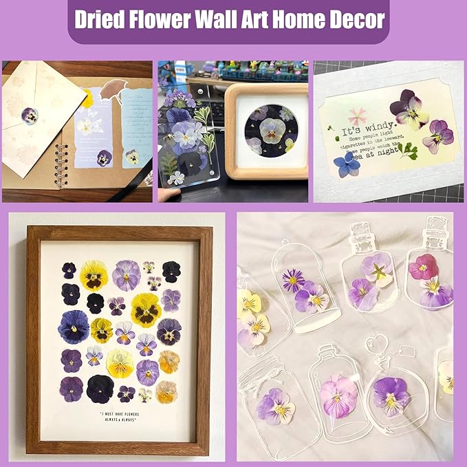 64 Pcs Dried Pressed Viola Flowers, 8 Color Gradient Purple Blue Yellow White - Image 5