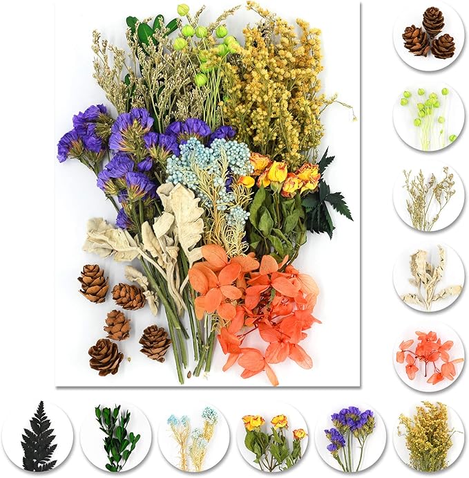 Vignee Real Dried Pressed Leaf Flowers-Multiple Colorful Pressed Flowers Daisies by Vignee