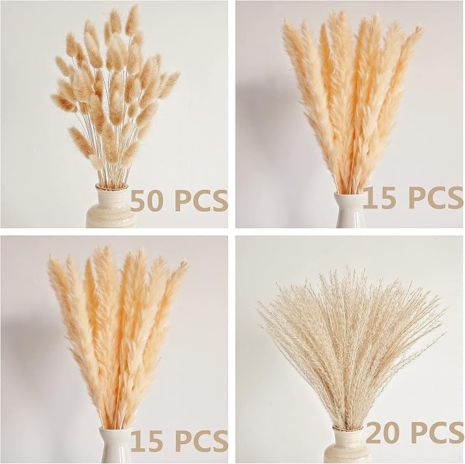 Natural Dried Pampas Grass Decor, Bunny Tails Dried Flowers, Reed Grass Bouquet - Image 2