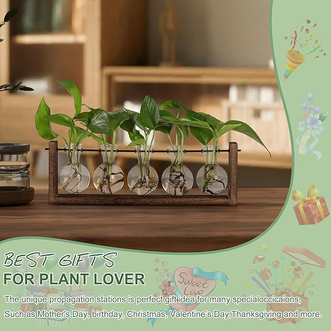 YIBOT Plants Propagation Stations, Plant Terrarium - Image 4