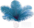 SOGUGOM Turquoise Craft Ostrich Feathers by SOGUGOM