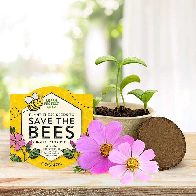 Buzzy Seeds Save The Bees Biodegradable Grow Kit | Herb, Flower Starter Kit - Image 6