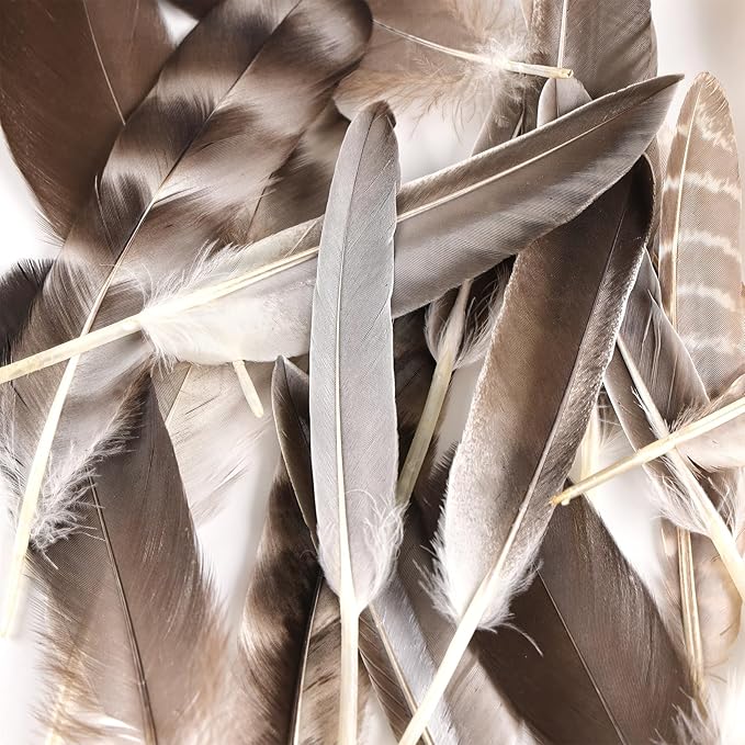 MAOFENG 20pcs Natural Pheasant Feathers 5 Styles 5-9 inches 13-23cm - Image 4