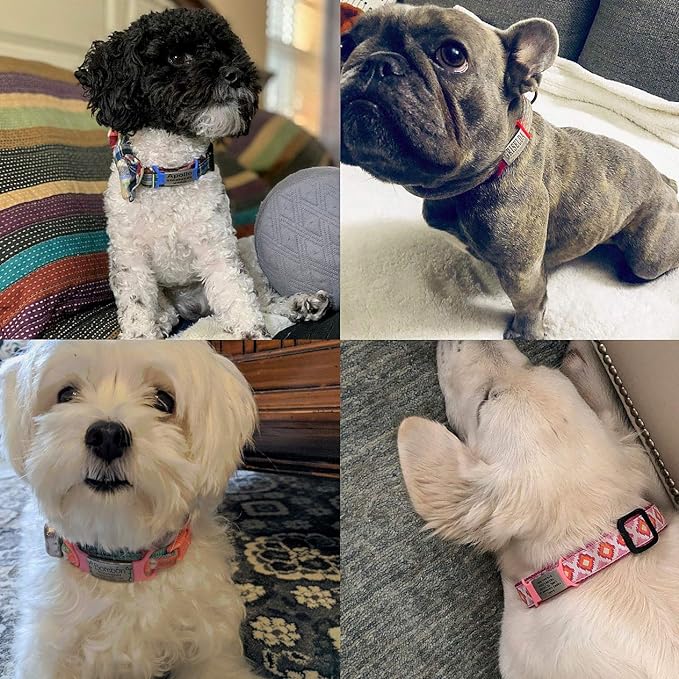 Personalized Dog & Cat ID Tags - Image 5