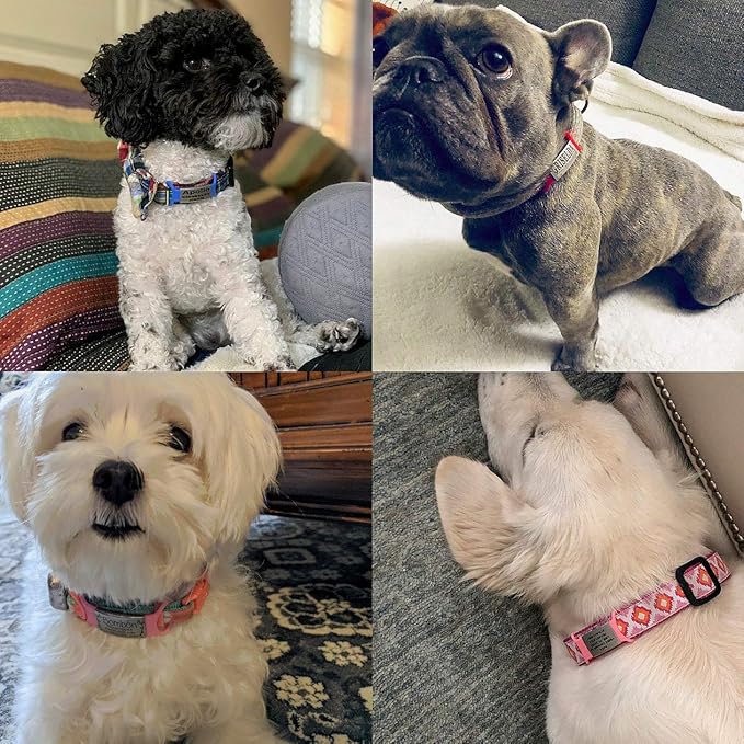 Personalized Engraved Dog & Cat ID Tags - Image 5