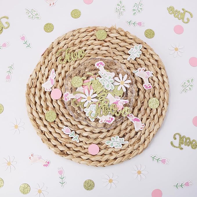 220PCS Two Silly Goose Birthday Decorations - Image 4