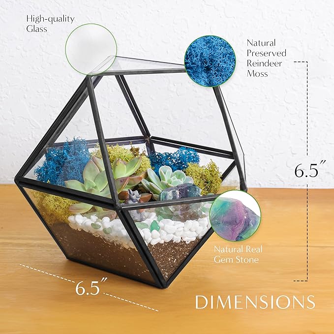 DIY 7" Geometric Terrarium Kit - Image 4