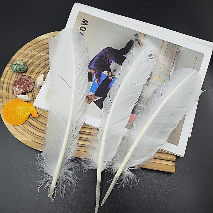White Turkey Feathers, Turkish Feather - Image 6