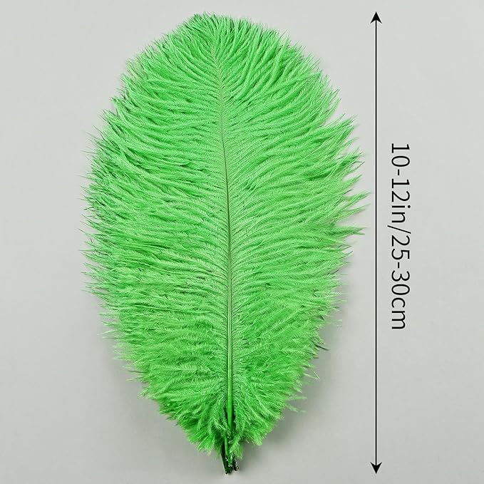 THARAHT Green Ostrich Feathers 24pcs Natural Bulk 10-12Inch 25cm-30cm - Image 2