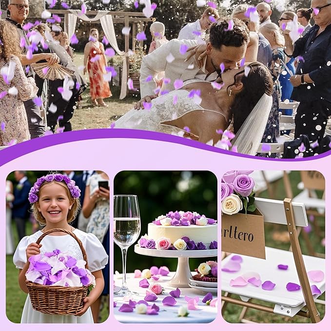180 PCS Real Purple White Rose Petals - Image 2