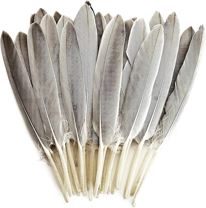 FeelfunFeather 120pcs Natural Gray Goose Cochettes Feathers Bulk 4-6 inches by FeelFunFeather