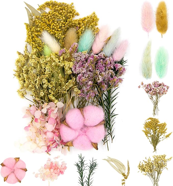 Vignee Real Dried Pressed Leaf Flowers-Multiple Colorful Pressed Flowers Daisies by Vignee