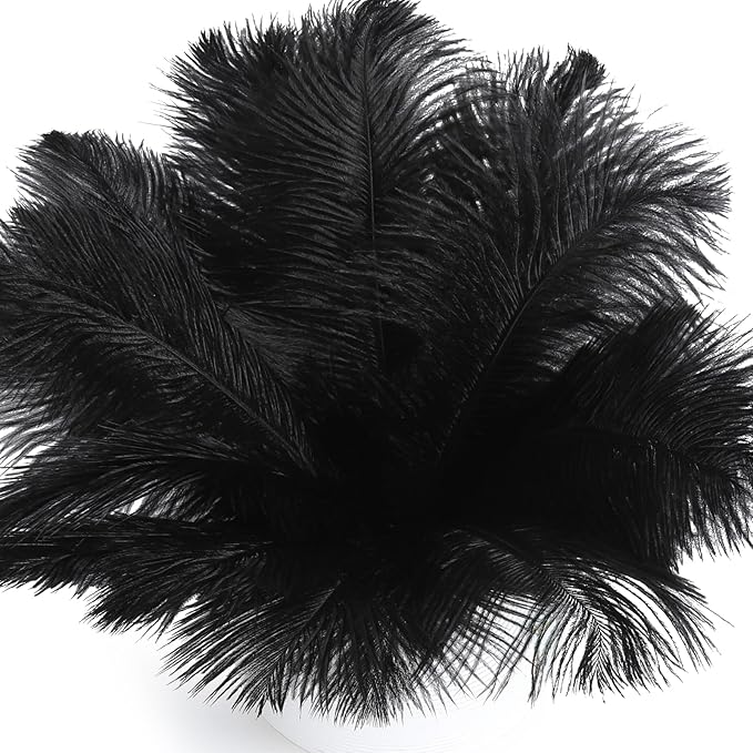 FANDAMEI 20 Pcs Black Ostrich Feathers, 8-10 inch, Feathers by FANDAMEI
