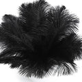 FANDAMEI 20 Pcs Black Ostrich Feathers, 8-10 inch, Feathers by FANDAMEI