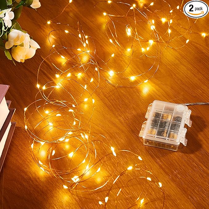 2 Pack 16.4 Ft. Battery Operated Outdoor String Lights by Ariceleo