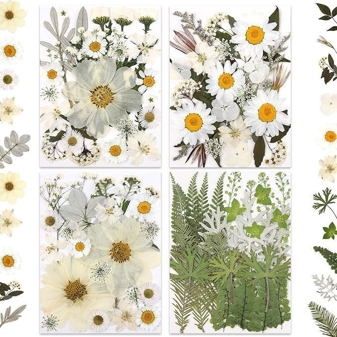 100P White Foliage & Flower Mix Dried Flowers by LUXEEASE