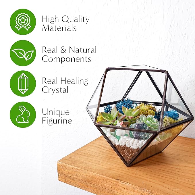 DIY 7" Geometric Terrarium Kit - Image 2