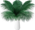 THARAHT 24pcs Ostrich Feathers Natural Bulk 10-12Inch 25cm-30cm by THARAHT