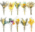 10/12/24/36 Pack Mini Dried Flowers by Unknown