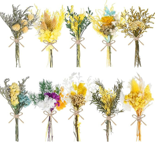 10/12/24/36 Pack Mini Dried Flowers by Unknown