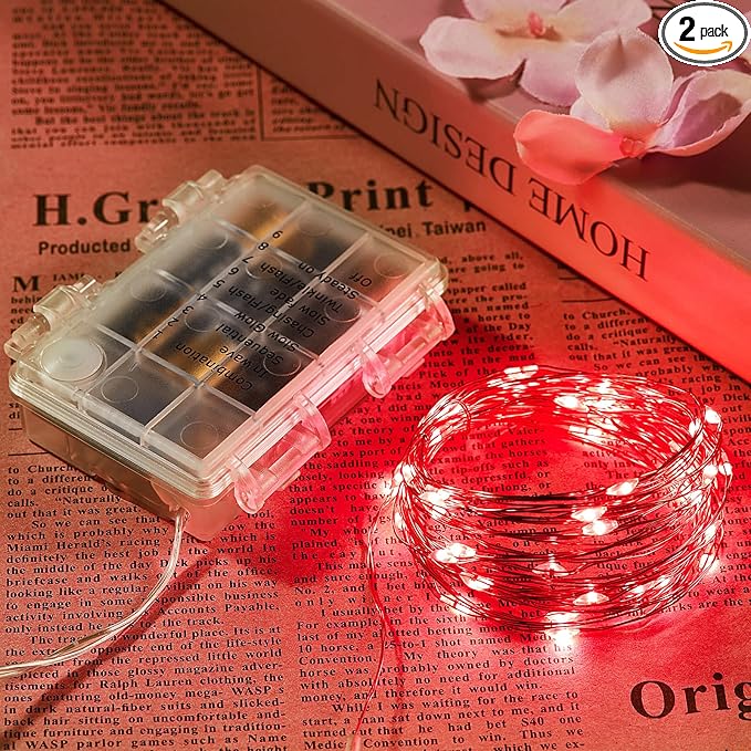 2 Pack 65.6 Ft. Battery Operated Outdoor String Lights by Ariceleo