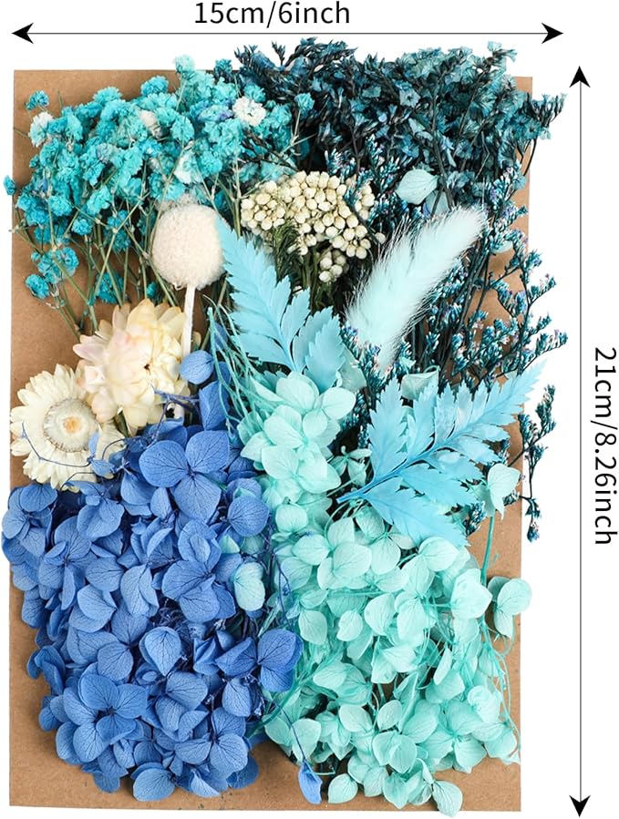 Dried Flowers, Dried Flowers Set - Image 2