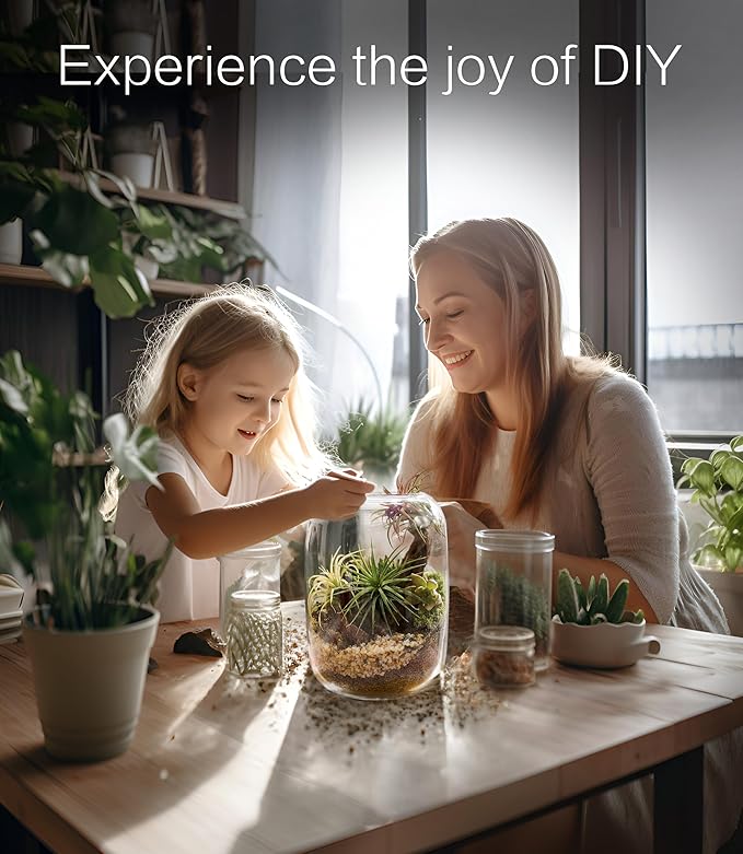 Terrarium Kit with Grow Light, Succulent Plants, Mini Gardening Set - Image 6