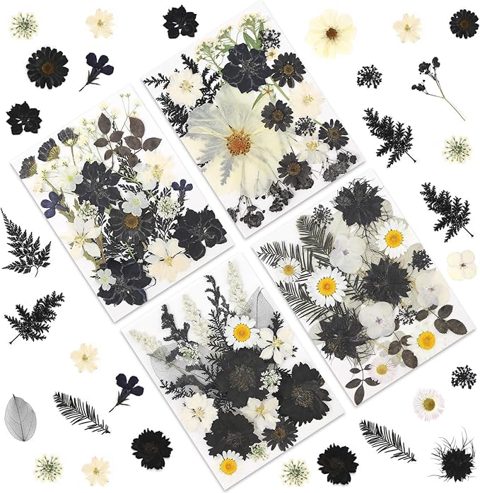 90P Black & White Dried Flowers by LUXEEASE