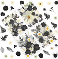 90P Black & White Dried Flowers by LUXEEASE