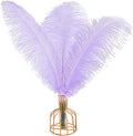 THARAHT Lavender Ostrich Feathers 12pcs Large Natural Bulk 16-18Inch 40cm-45cm by THARAHT